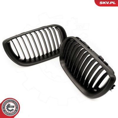 GRILA RADIATOR ESEN SKV 66SKV077 2