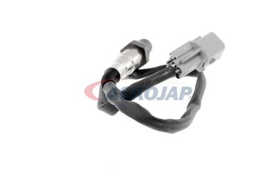 SONDA LAMBDA ACKOJA A53760012 41