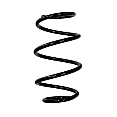 ARC SPIRAL EIBACH R10127 25