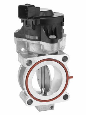BorgWarner EGR Valve 729026D