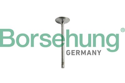 SET SEGMENTI PISTON Borsehung B10344