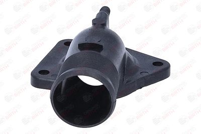 FLANSA LICHID RACIRE BIRTH 80054 3