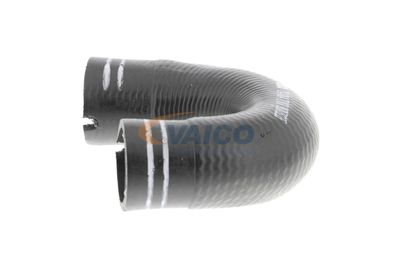 FURTUN EAR SUPRAALIMENTARE VAICO V240804 22