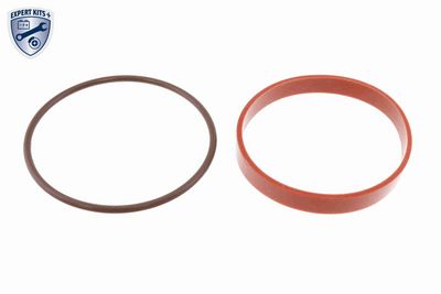 SUPAPA EGR VEMO V20630005 2