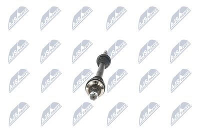 PLANETARA NTY NPWPE101 17