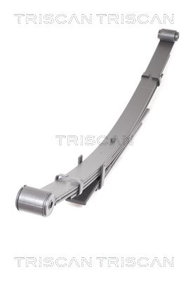 TRISCAN Federnpaket