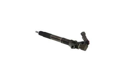 INJECTOR REMANTE 002003001324R 15
