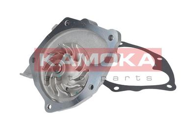Water Pump, engine cooling T0205