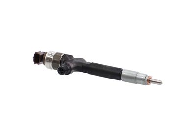 INJECTOR REMANTE 002003002227R 47