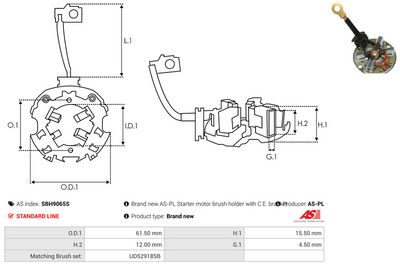 CAPAC SOC CARBURATOR AS-PL SBH9065S 2