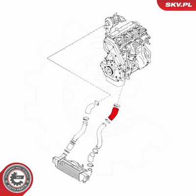 FURTUN EAR SUPRAALIMENTARE ESEN SKV 43SKV160 3