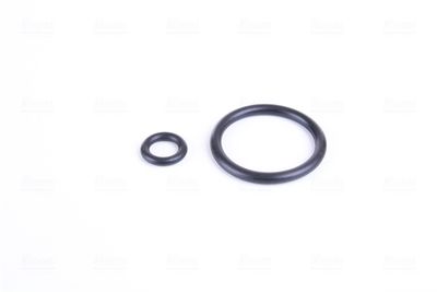 RADIATOR RACIRE MOTOR NISSENS 69710 4