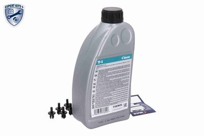 SET PIESE SCHIMB ULEI TRANSMISIE AUTOMATA VAICO V107674 2