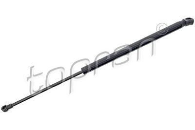 Dujinė spyruoklė, bagažinė