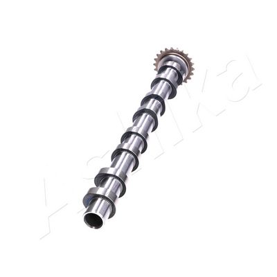 AX CU CAME ASHIKA 16PE003 1