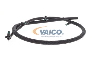 SCHLAUCH LECKKRAFTSTOFF VAICO V303327 55