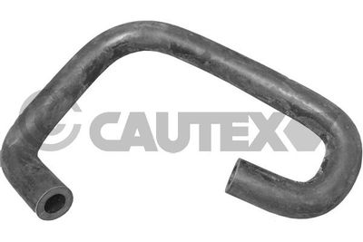 CAUTEX Buis, carburateur (036119)