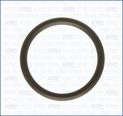 Uszczelka, termostat AJUSA 00538000