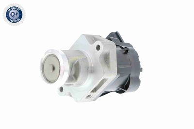 SUPAPA EGR VEMO V40630030 5