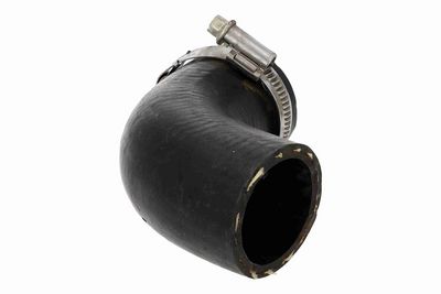 LADELUFTSCHLAUCH VAICO V461981 5