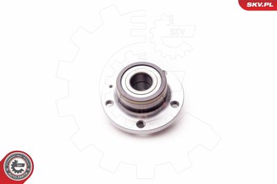 Wheel Bearing Kit 29SKV006