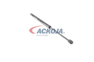 AMORTIZOR PORTBAGAJ ACKOJA A320076 21