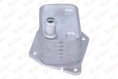 RADIATOR ULEI ULEI MOTOR BIRTH 80355 11