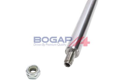 AMORTIZOR BOGAP C3411147 7