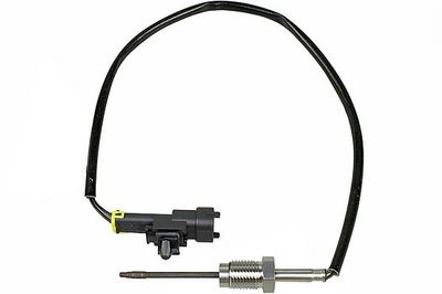 Sensor, Abgastemperatur