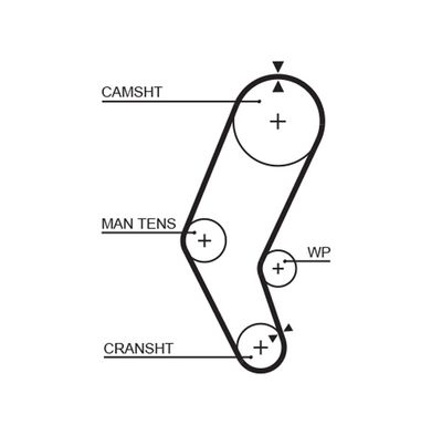 Timing Belt GATES 5401