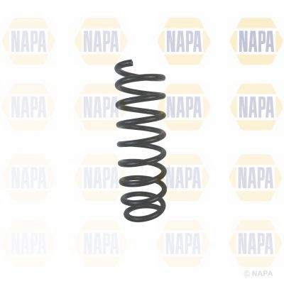 Suspension Spring NAPA NCS1755