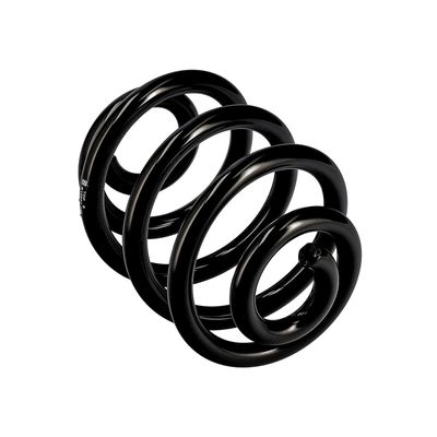 ARC SPIRAL EIBACH R10087 11