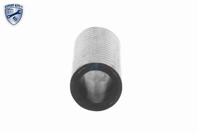 ÖLSCHLAUCH VAICO V204773 3