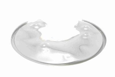 SPRITZBLECH BREMSSCHEIBE VAICO V105068 5