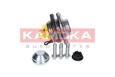 SET RULMENT ROATA KAMOKA 5500149 3