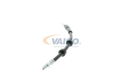 FURTUN FRANA VAICO V959582 15