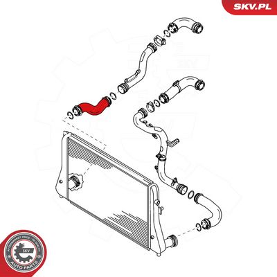 Kompresoriaus padavimo žarna