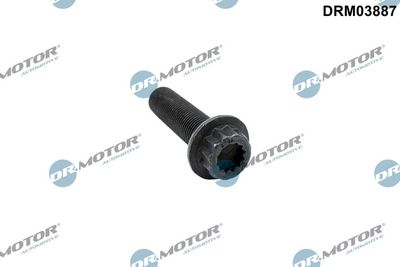 Dr.Motor Automotive Skriemulio varžtas