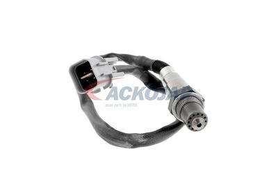 SONDA LAMBDA ACKOJA A53760012 13