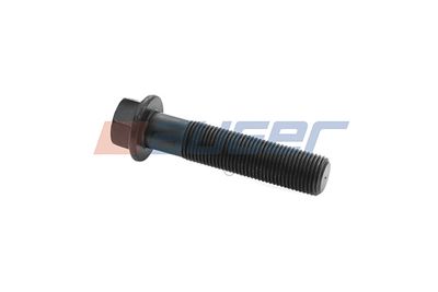 Flywheel Bolt 51531