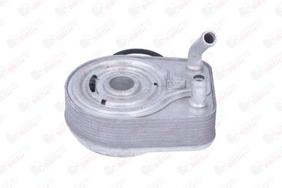 RADIATOR ULEI ULEI MOTOR BIRTH 80865 10