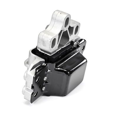 LAGERUNG MOTOR DELPHI TEM256 22