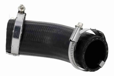 FURTUN EAR SUPRAALIMENTARE ACKOJA A520878 2