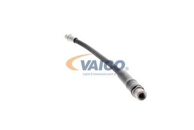 FURTUN FRANA VAICO V250900 20