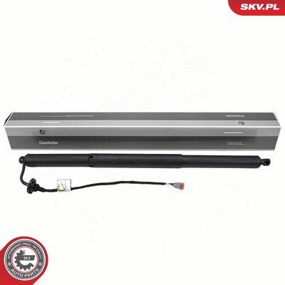 Elektromotor, zadní dveře ESEN SKV 52SKV278