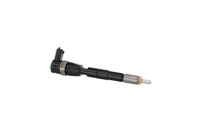 INJECTOR REMANTE 002003001085R 43