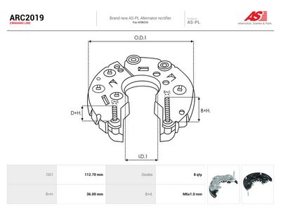 Likeretter, dynamo AS-PL ARC2019