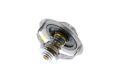 TERMOSTAT LICHID RACIRE VEMO V95990010 54