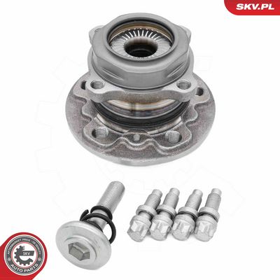 SET RULMENT ROATA ESEN SKV 29SKV708 4
