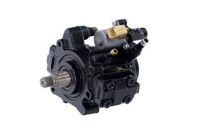 POMPA DE INALTA PRESIUNE REMANTE 002002000512R 7